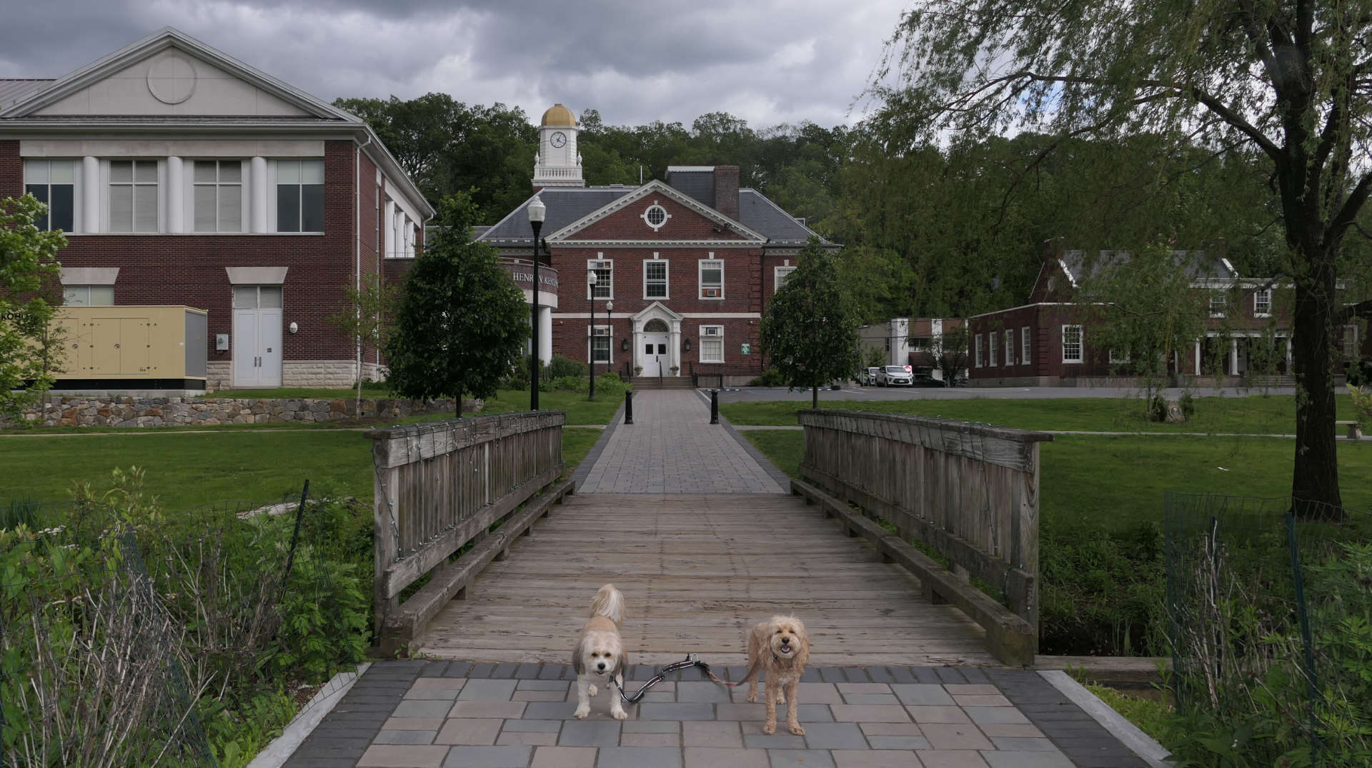 Mount_Kisco9