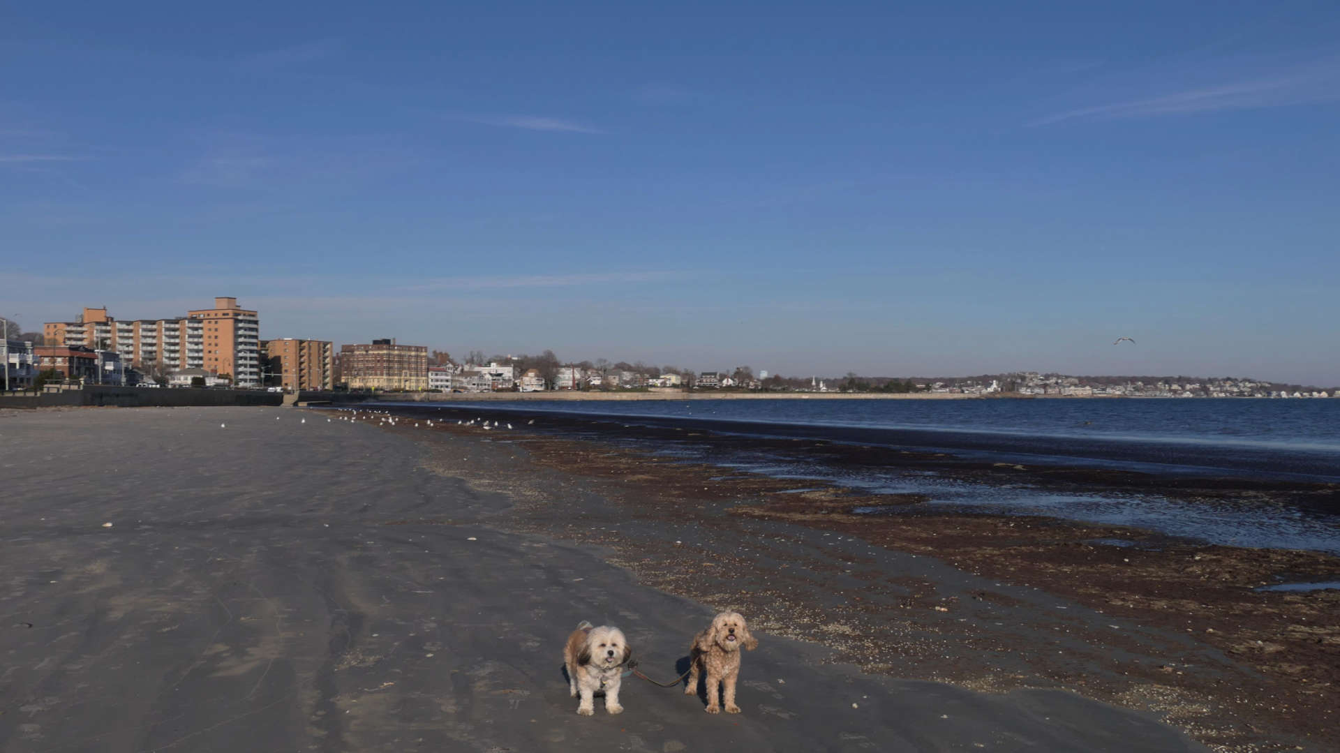 Nahant