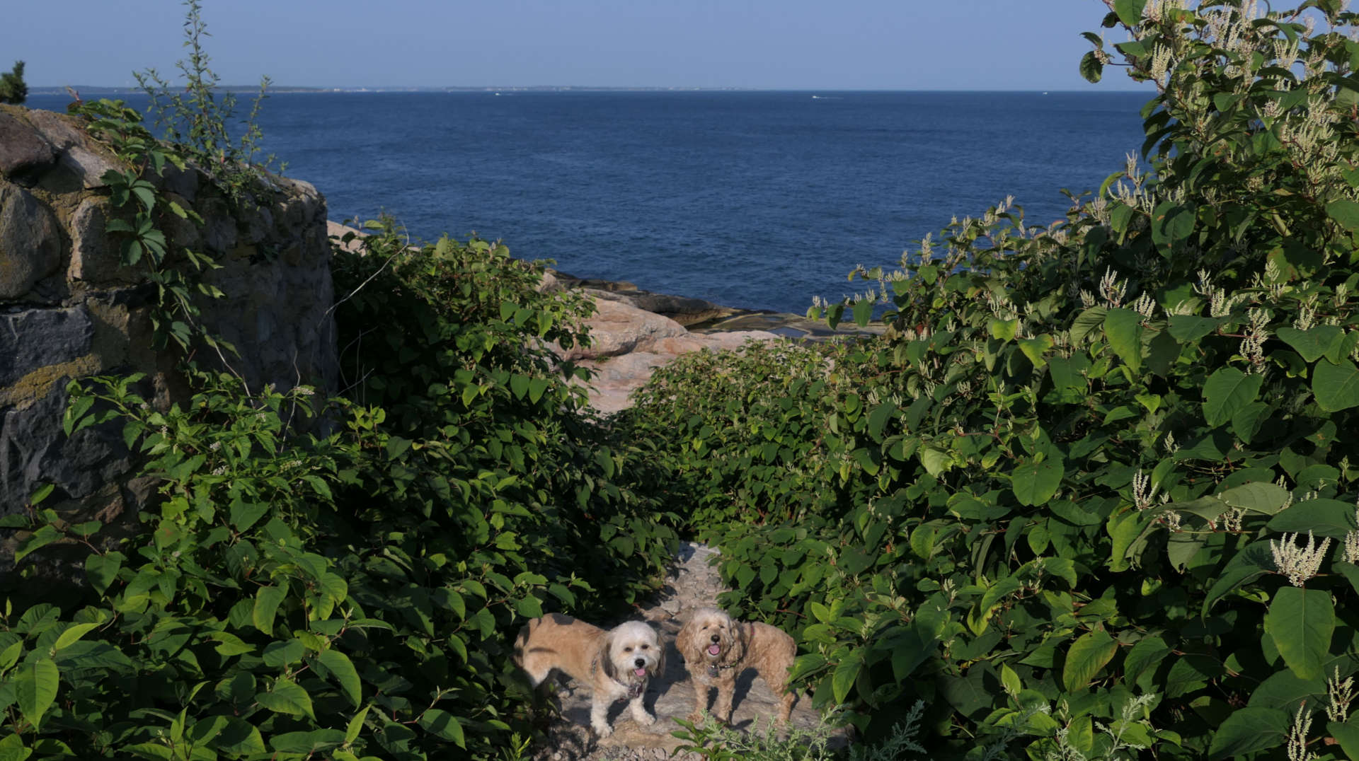 Narragansett176