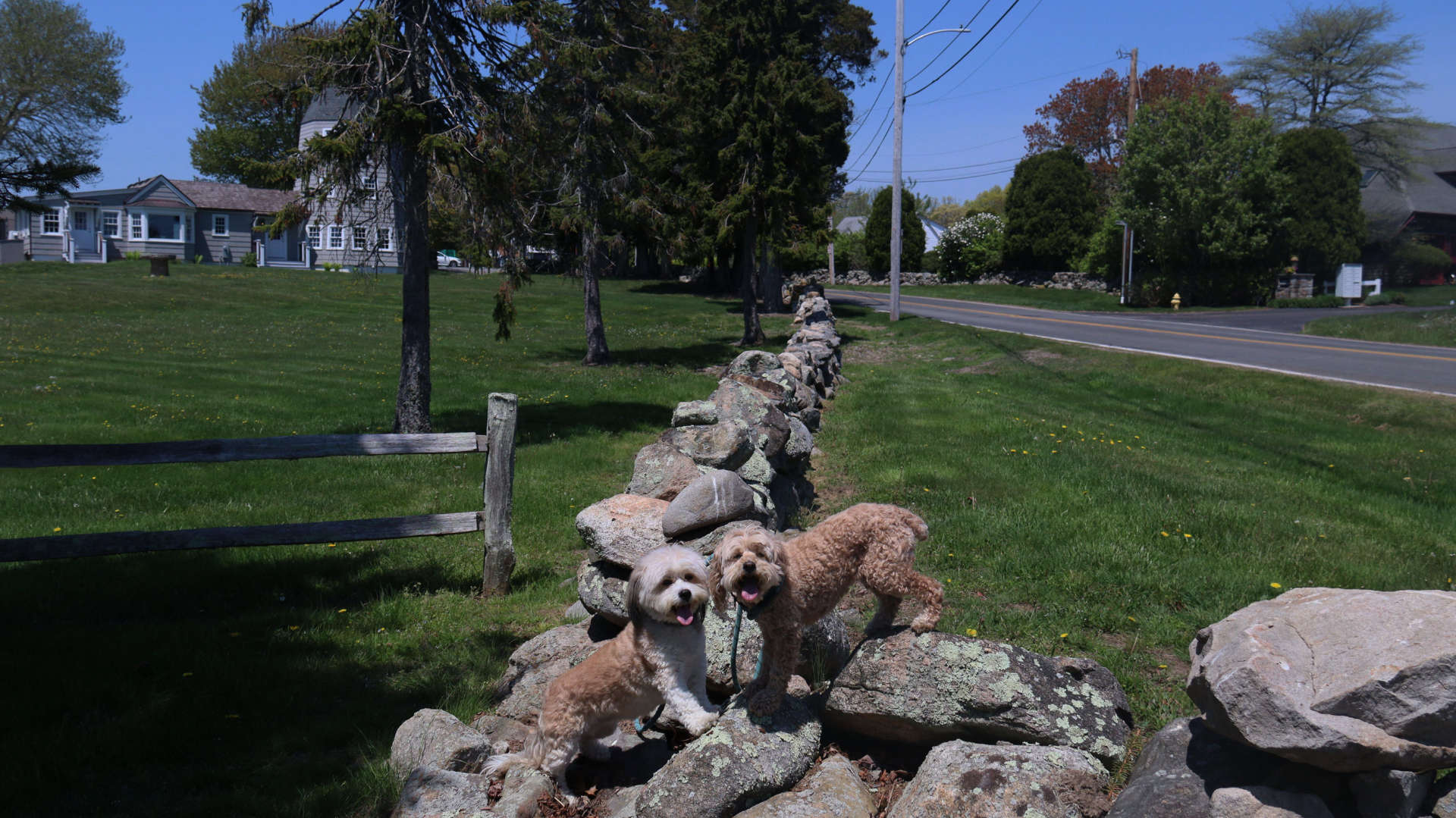 Narragansett861