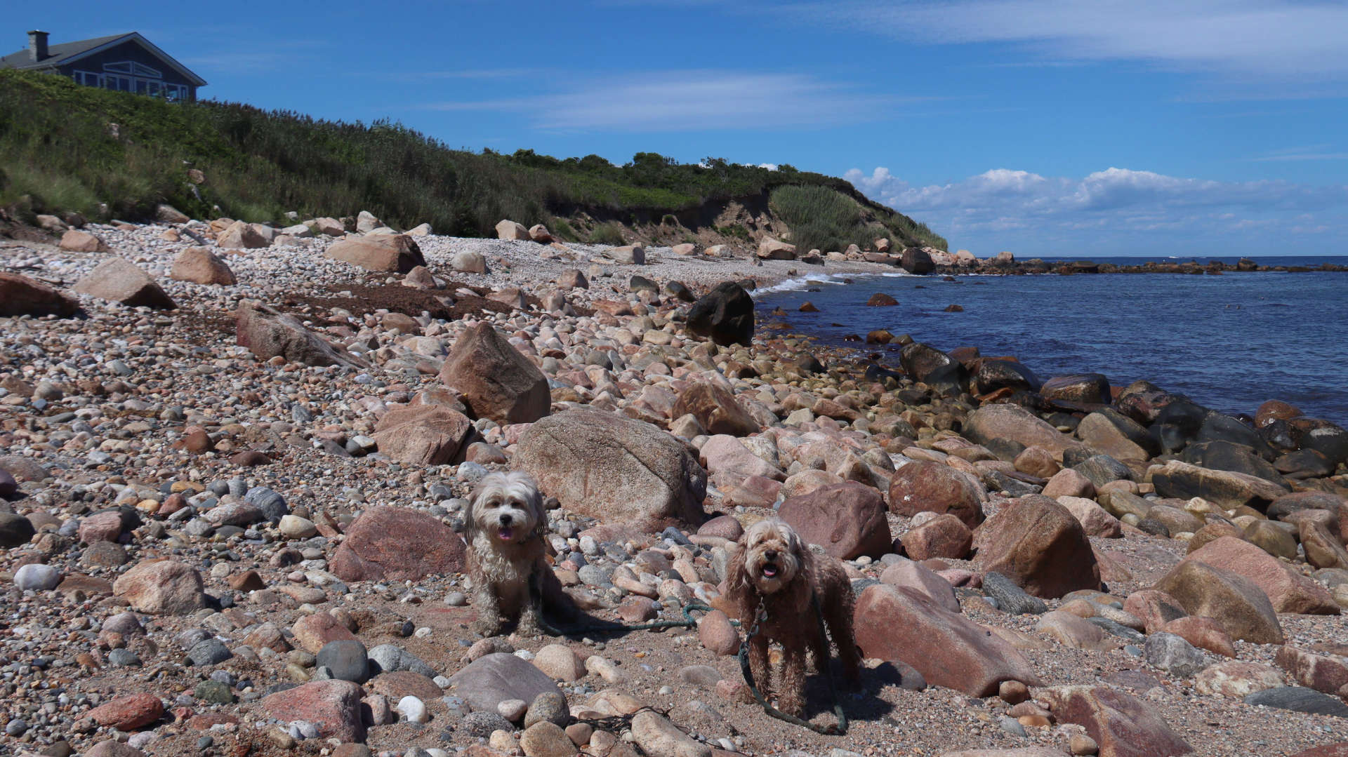 New_Shoreham244