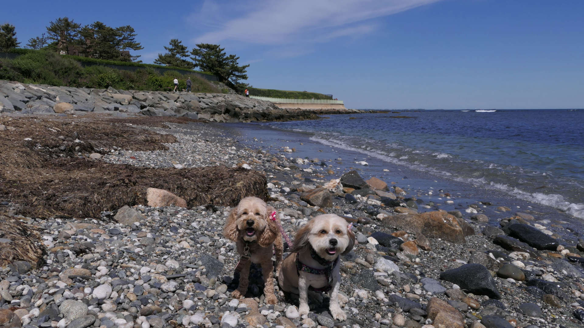 Cliff Walk