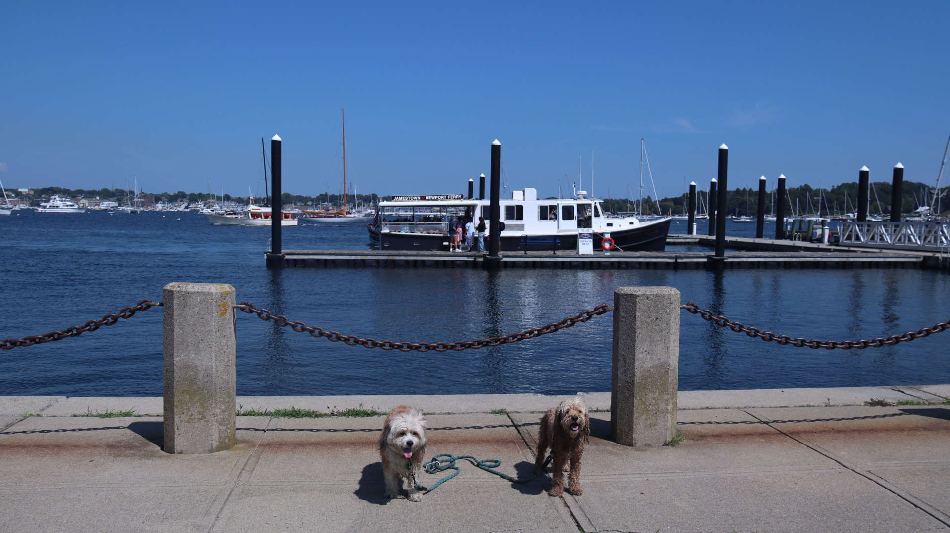 Newport593