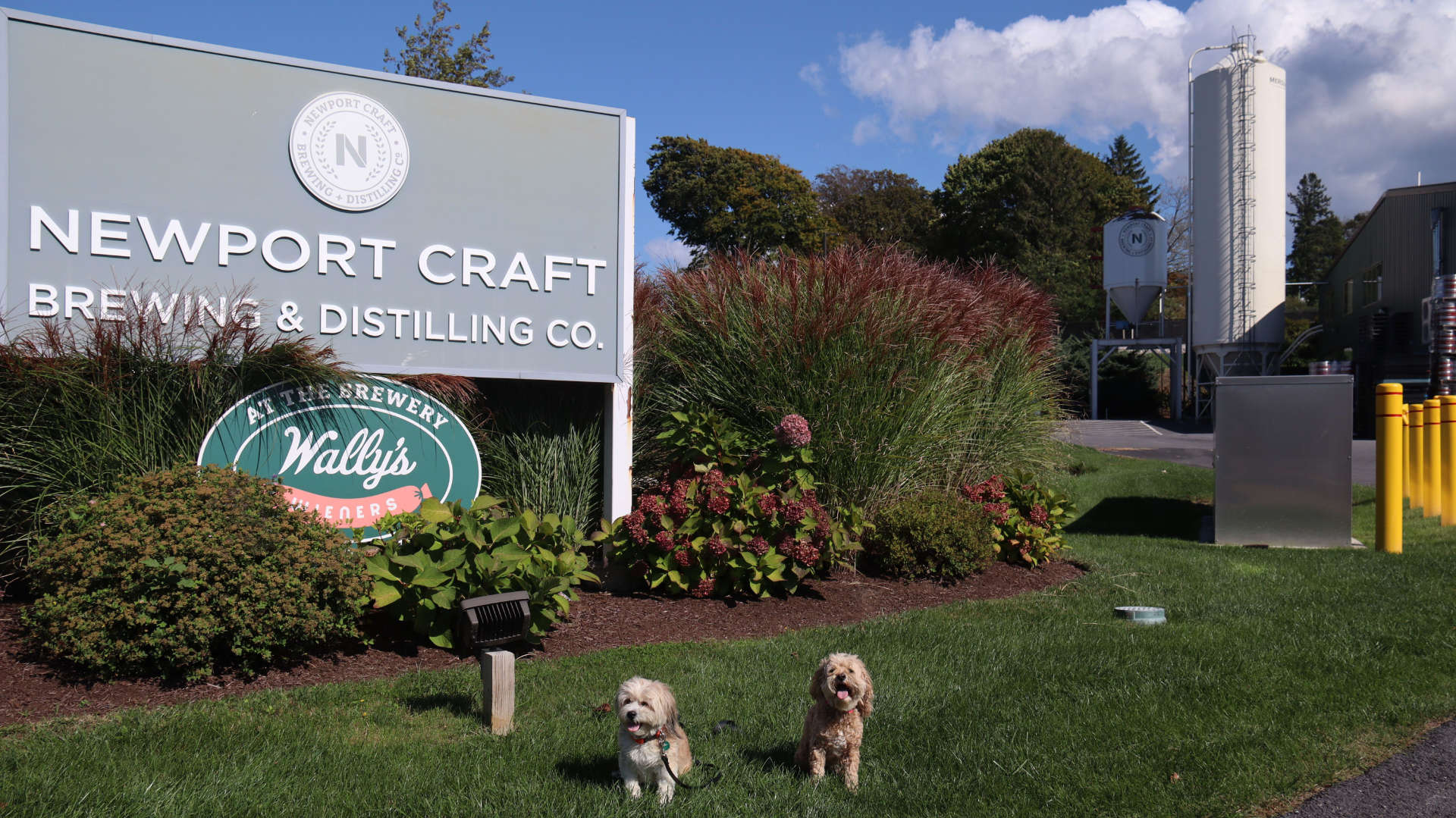 Newport628