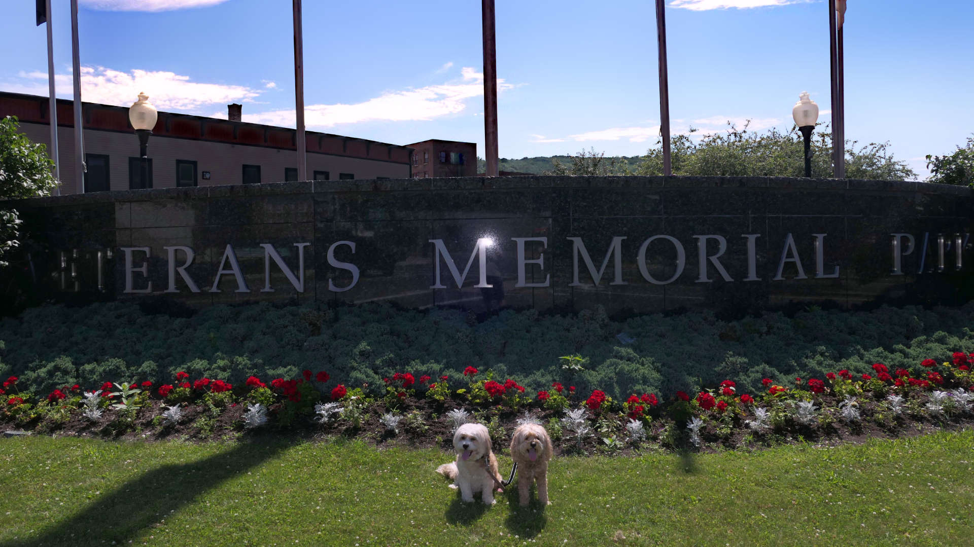 North_Adams12