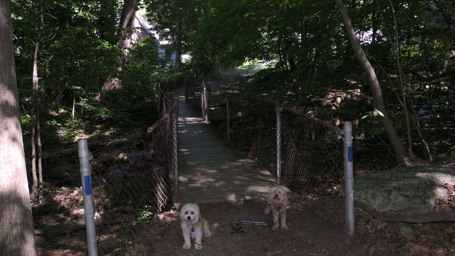 North_Adams16