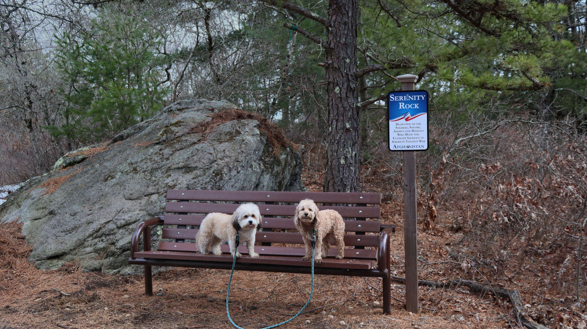 North_Attleborough27