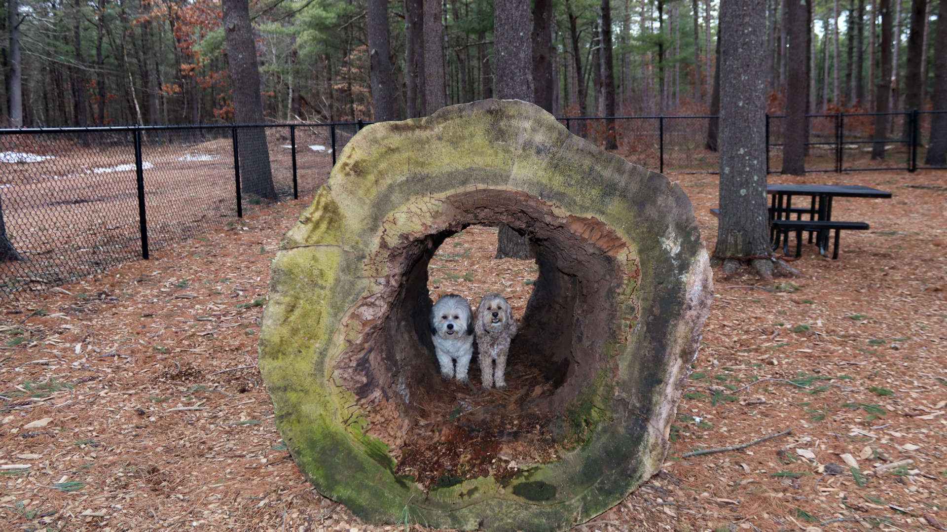 North_Attleborough30