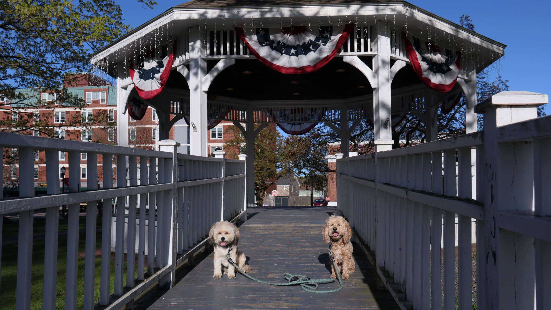 North_Attleborough43
