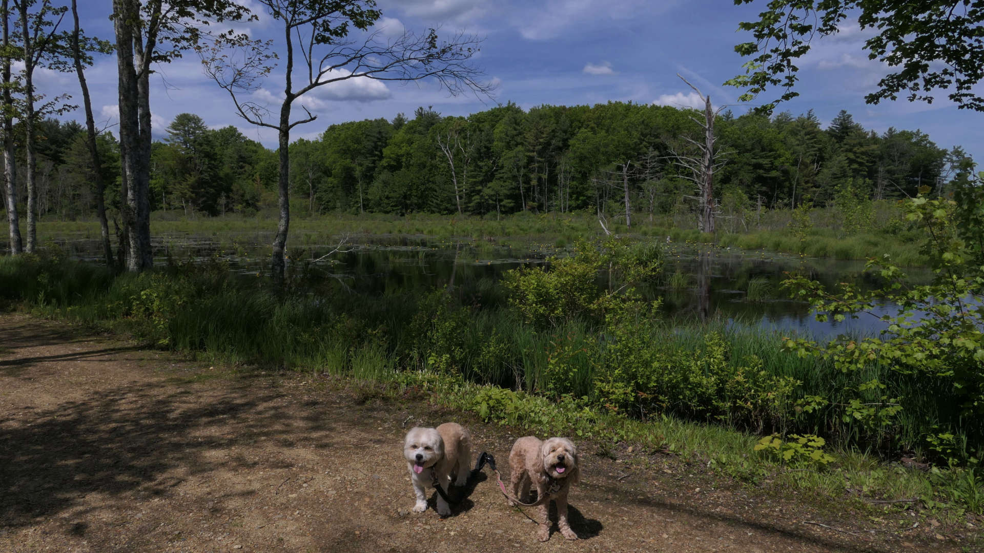 North_Brookfield