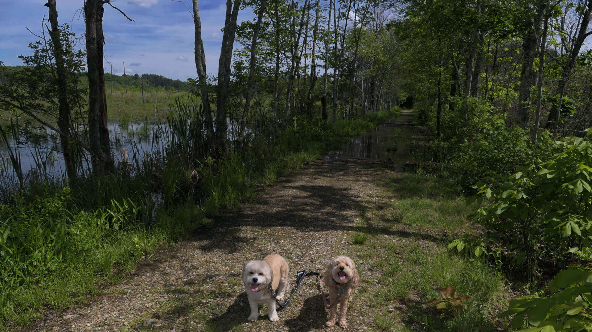 North_Brookfield2