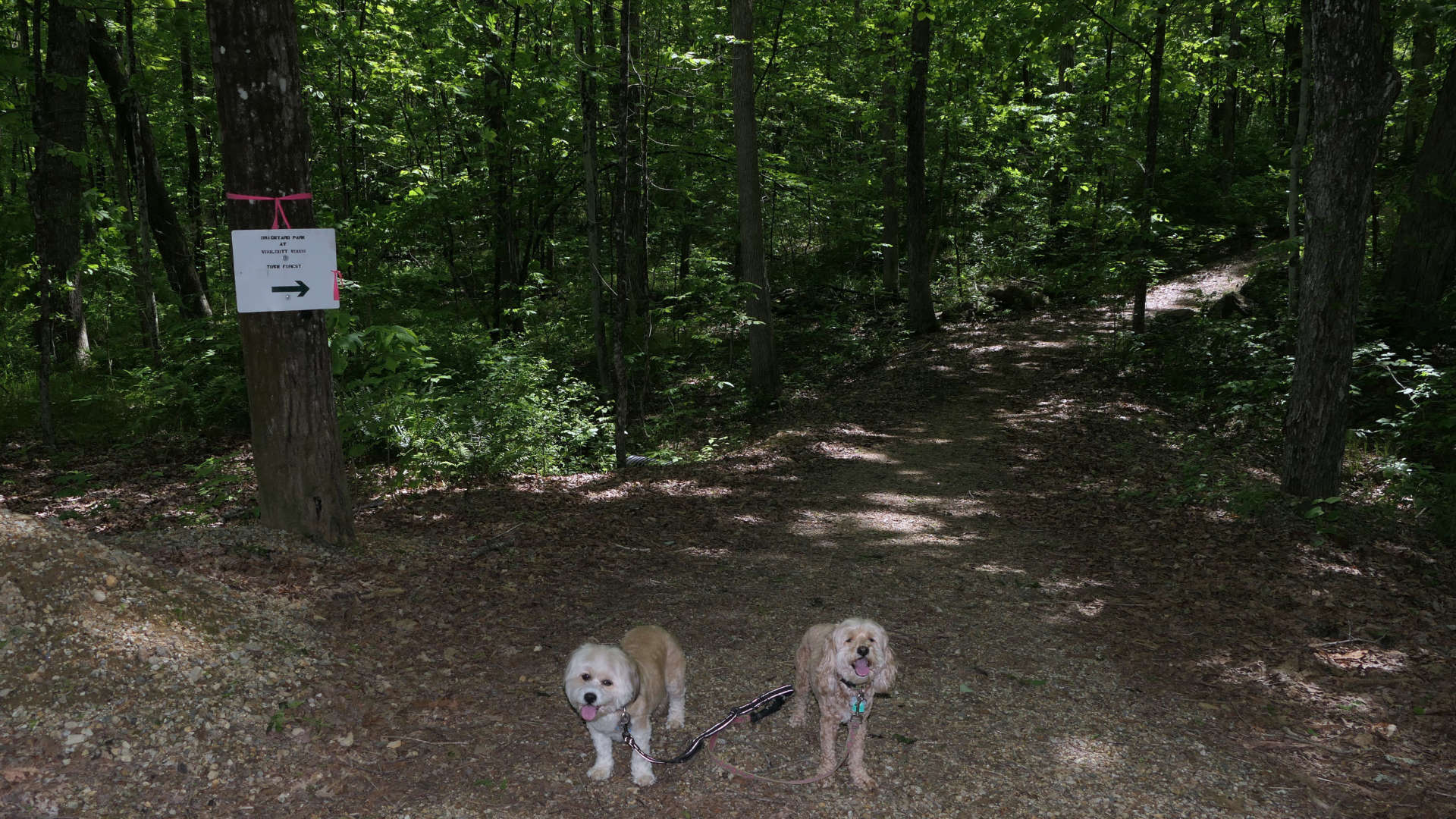North_Brookfield3