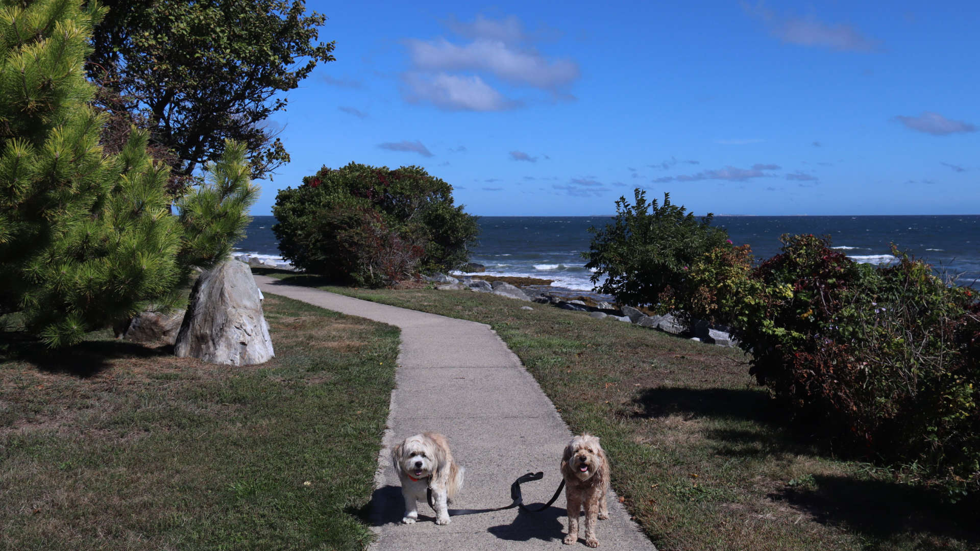 North_Hampton10