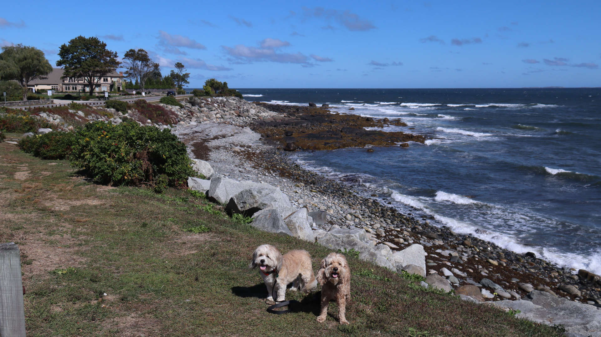 North_Hampton11