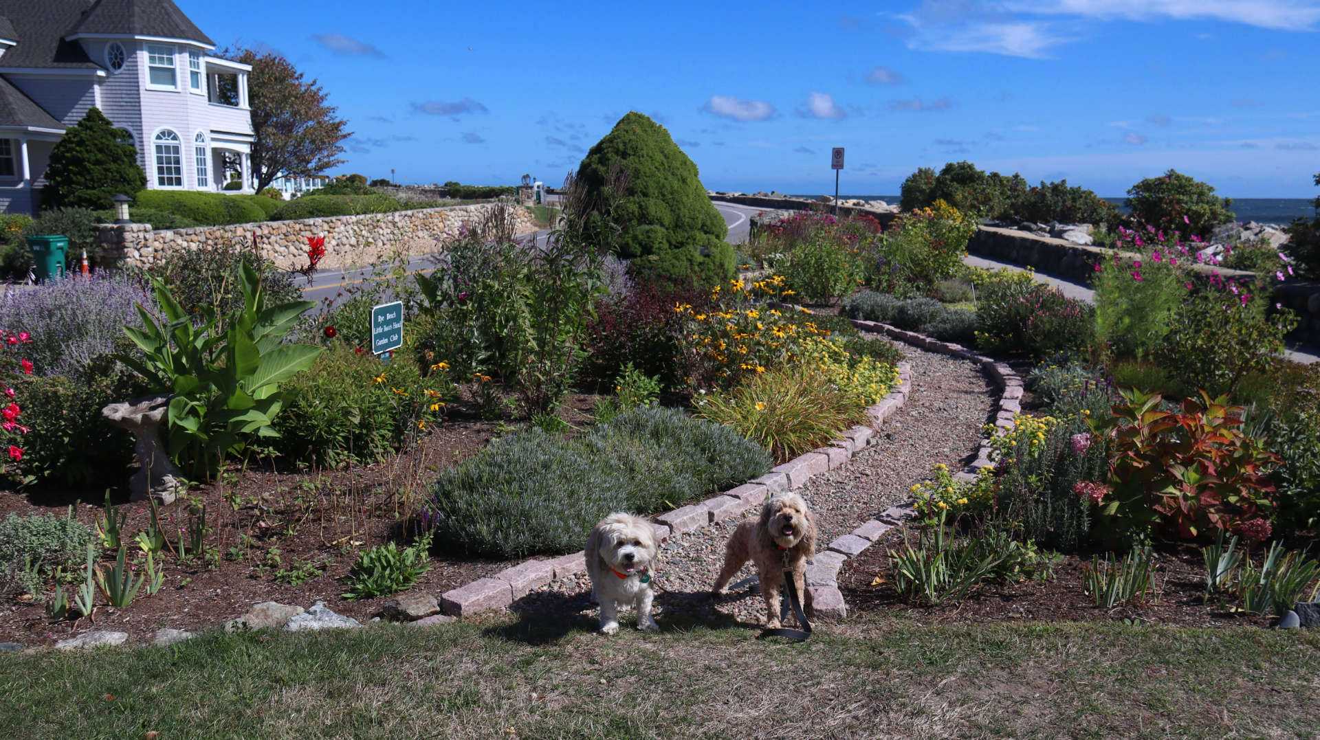 North_Hampton14