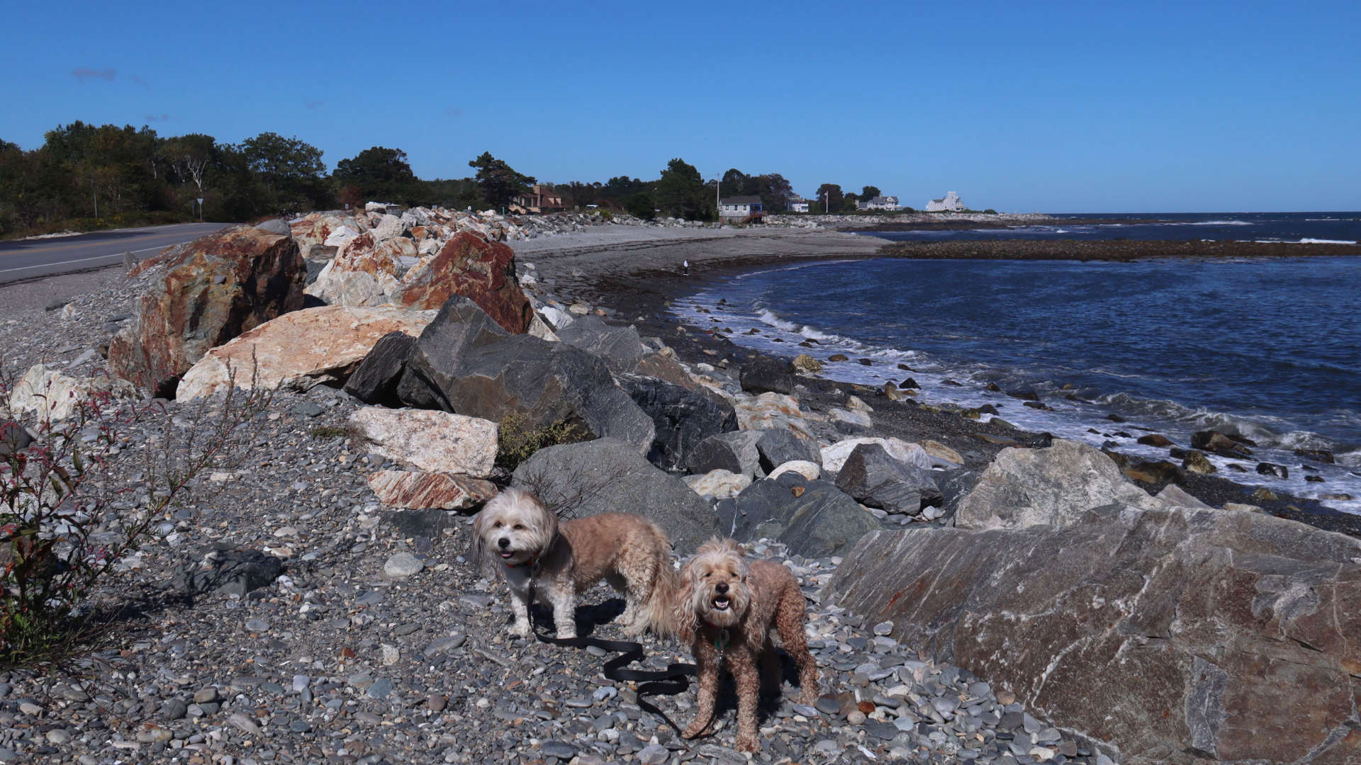 North_Hampton22
