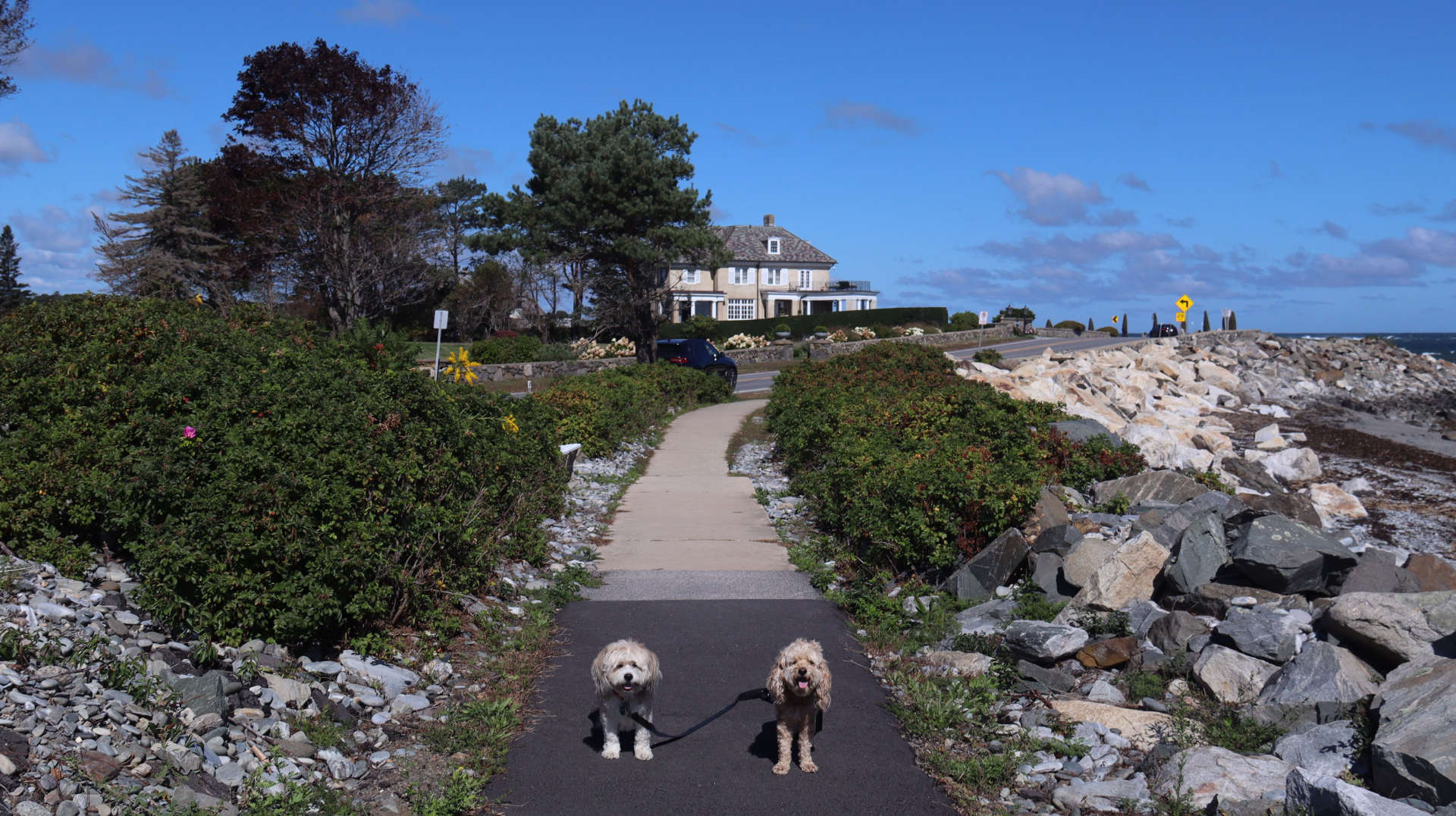 North_Hampton4
