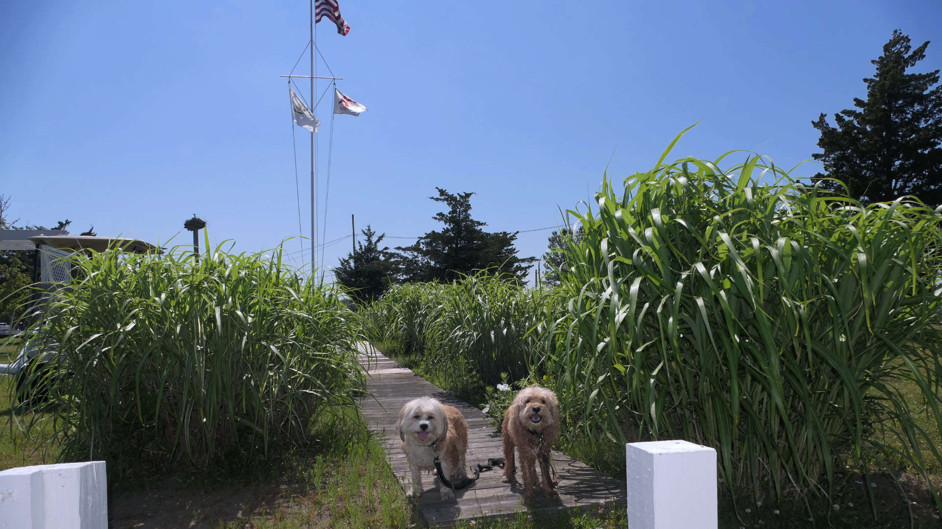 North_Kingstown212