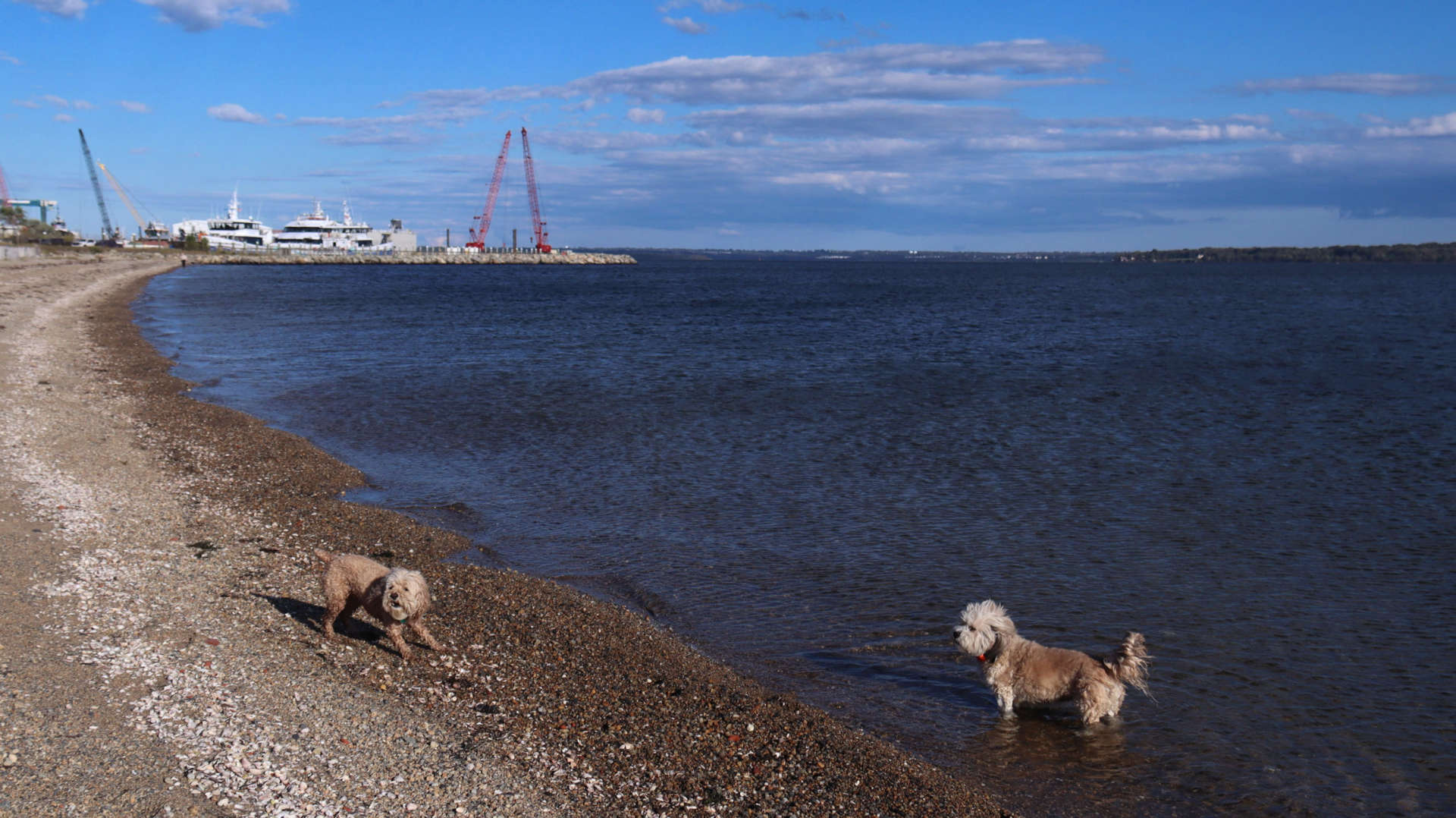 North_Kingstown387