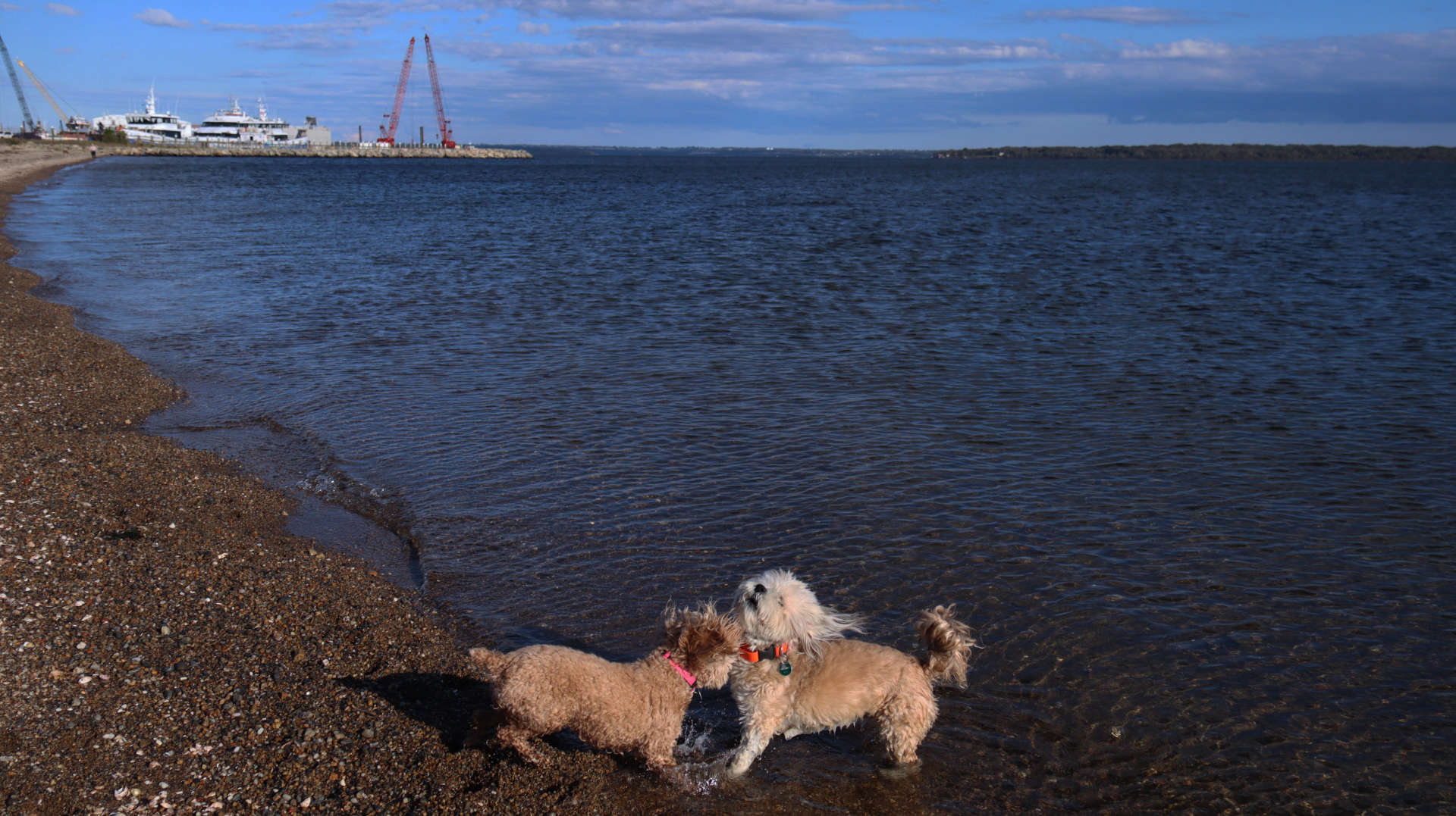 North_Kingstown389