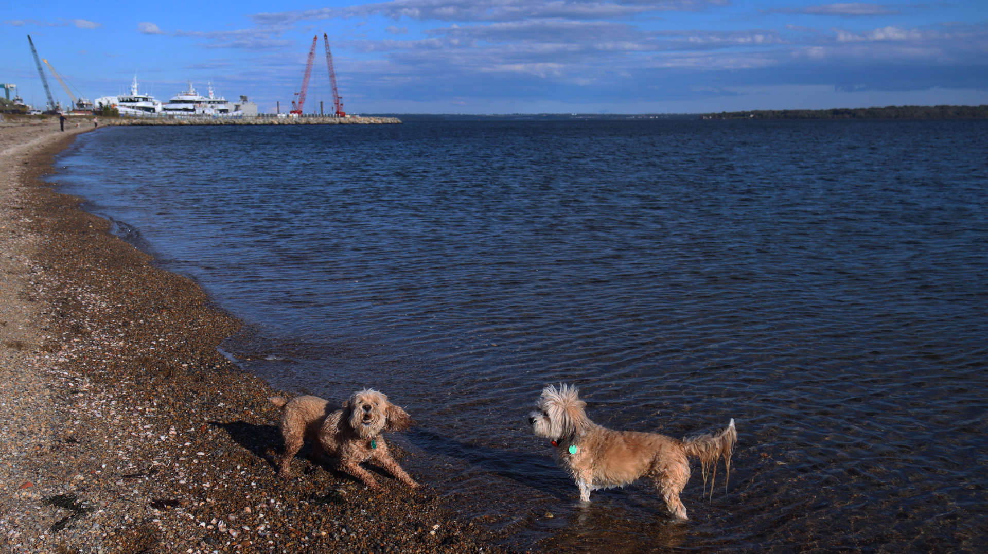 North_Kingstown395