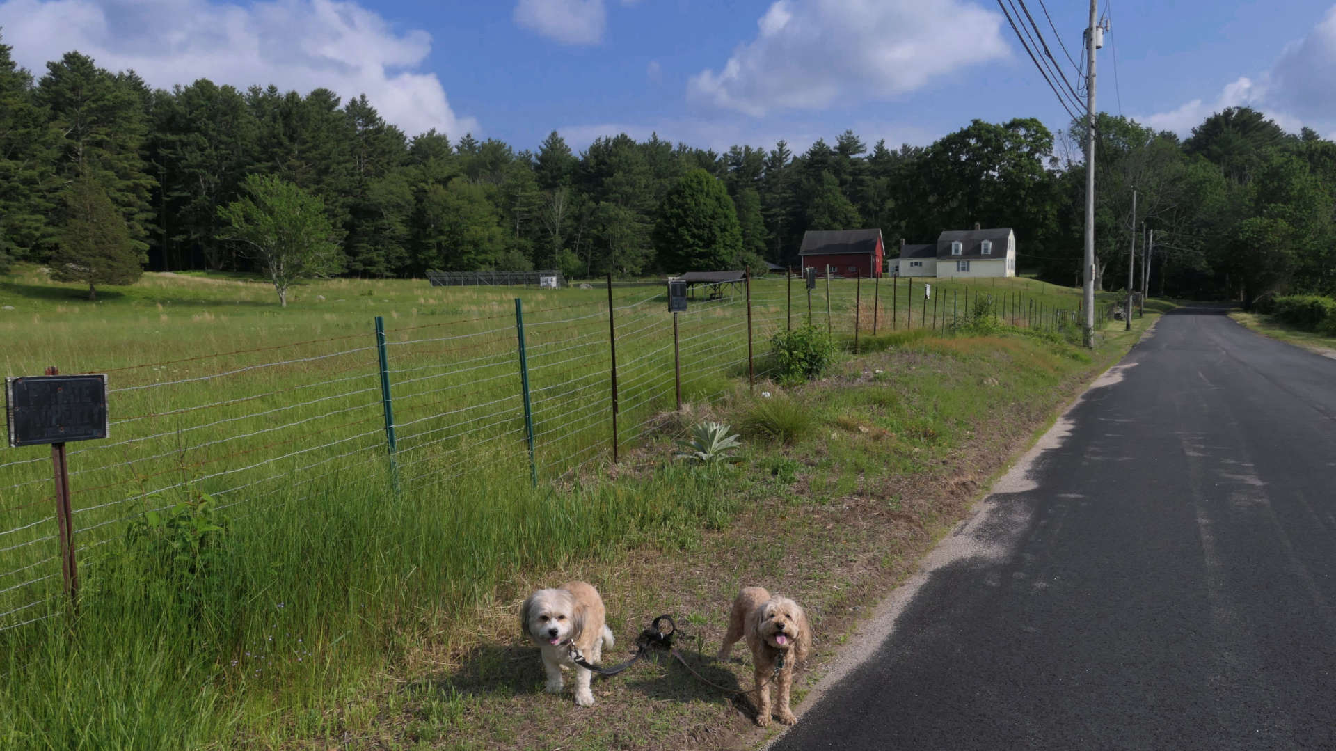 North_Smithfield14