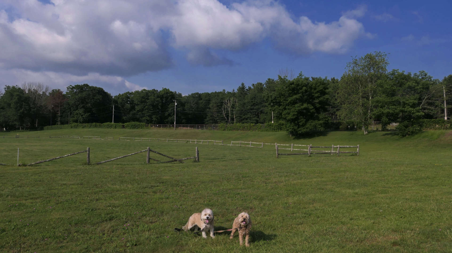 North_Smithfield19