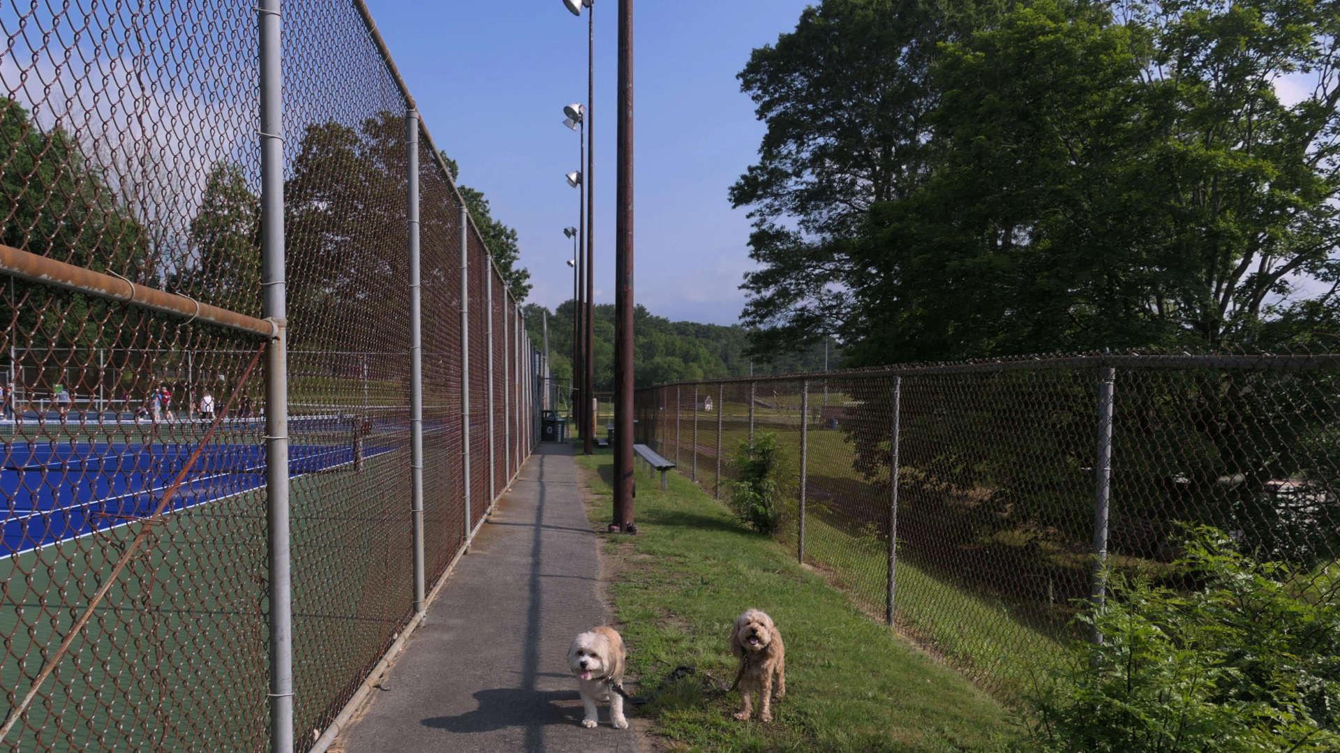 North_Smithfield21