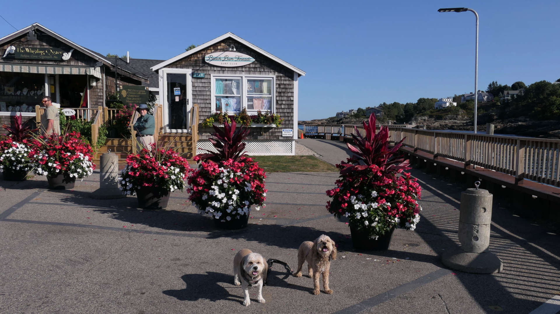 Ogunquit30