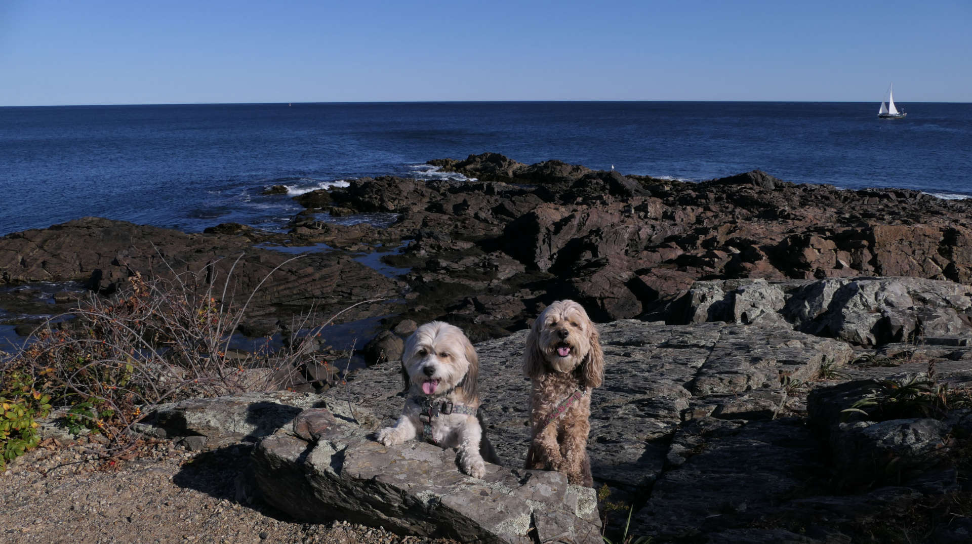 Ogunquit68