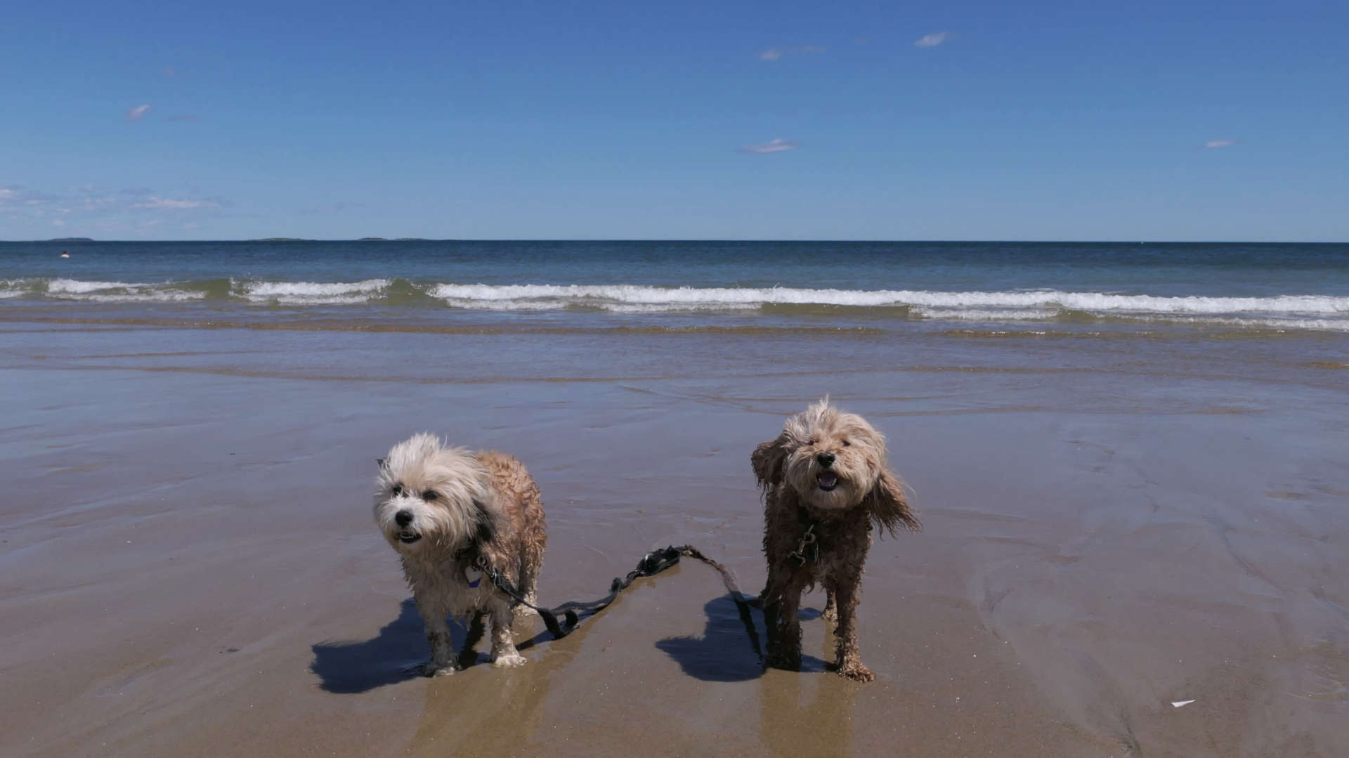 Old_Orchard_Beach