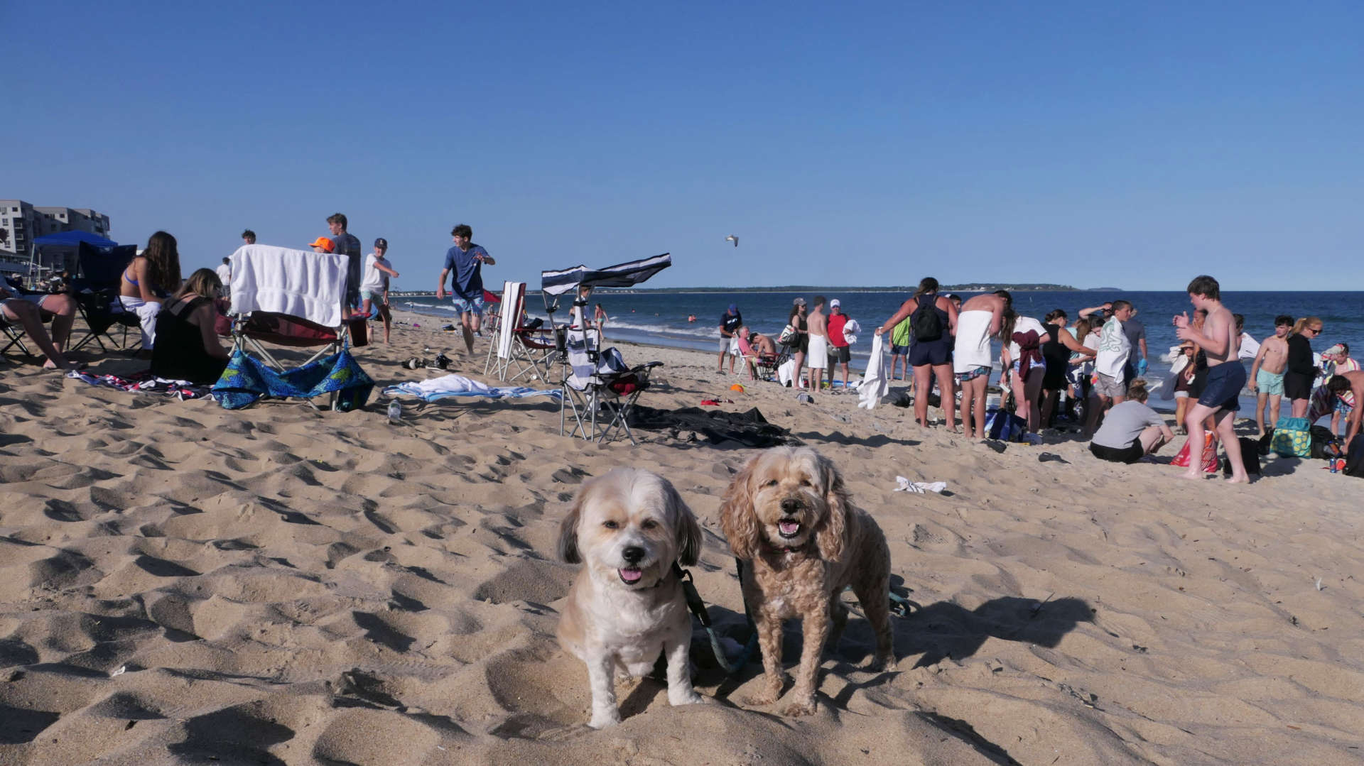 Old_Orchard_Beach10
