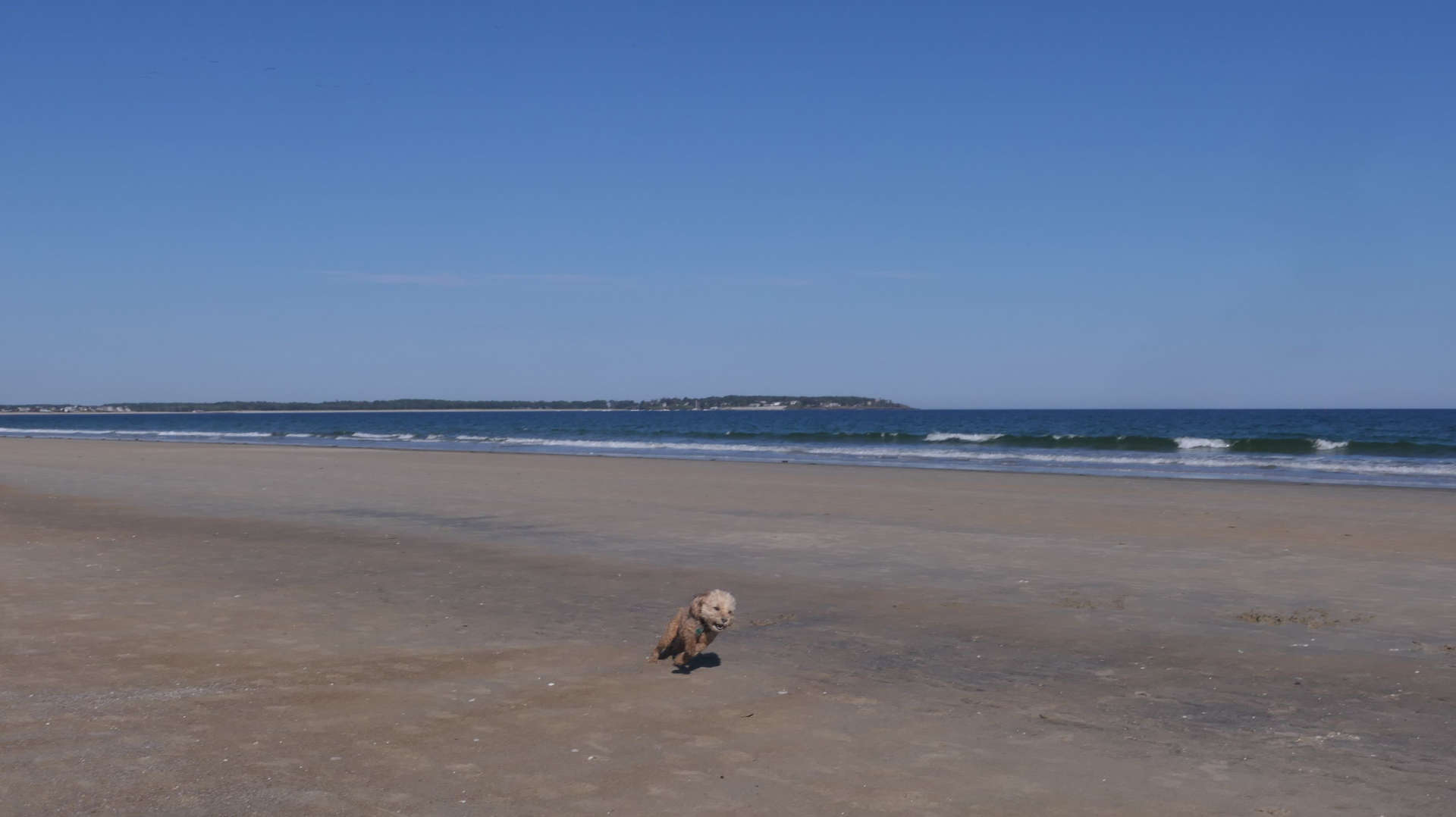 Old_Orchard_Beach47
