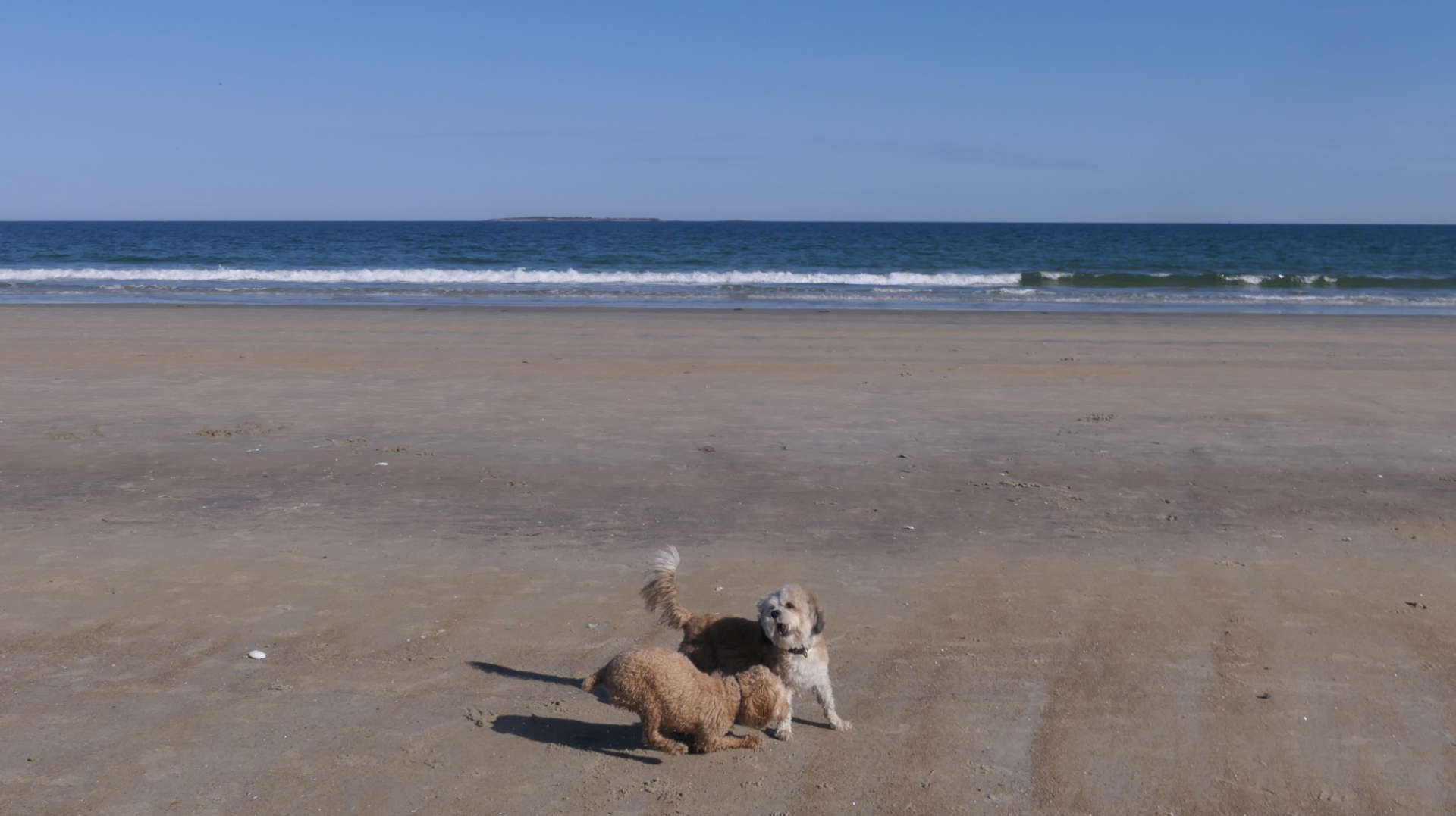 Old_Orchard_Beach48