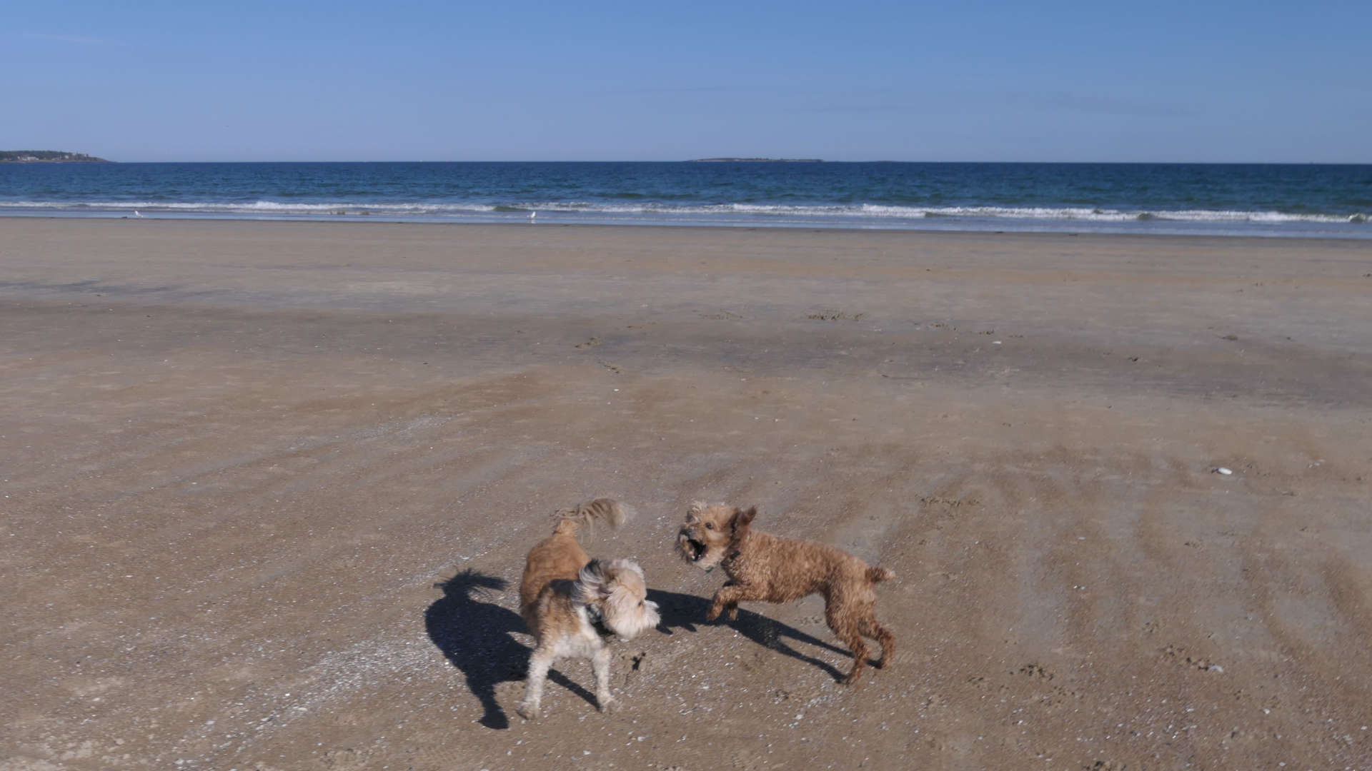 Old_Orchard_Beach52