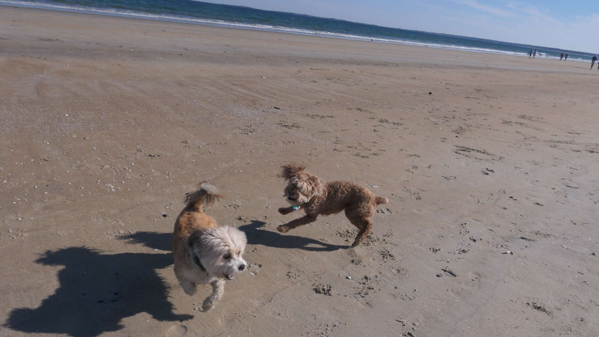 Old_Orchard_Beach54