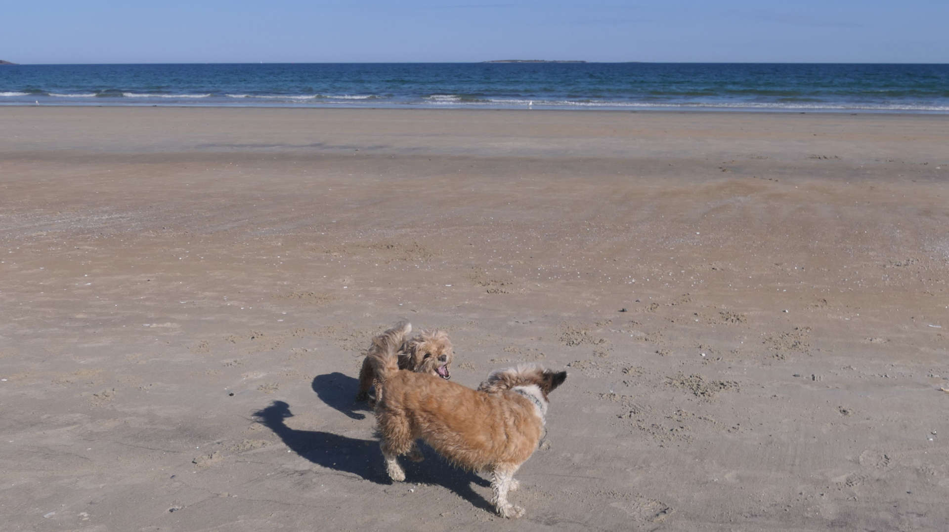 Old_Orchard_Beach57