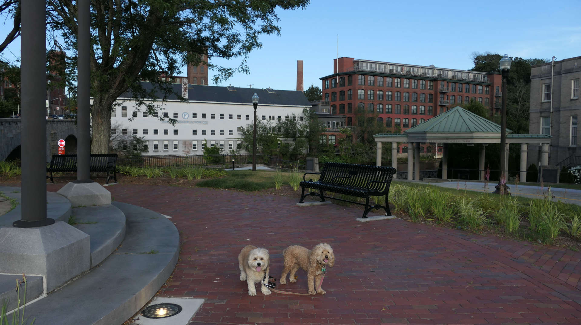 Pawtucket42