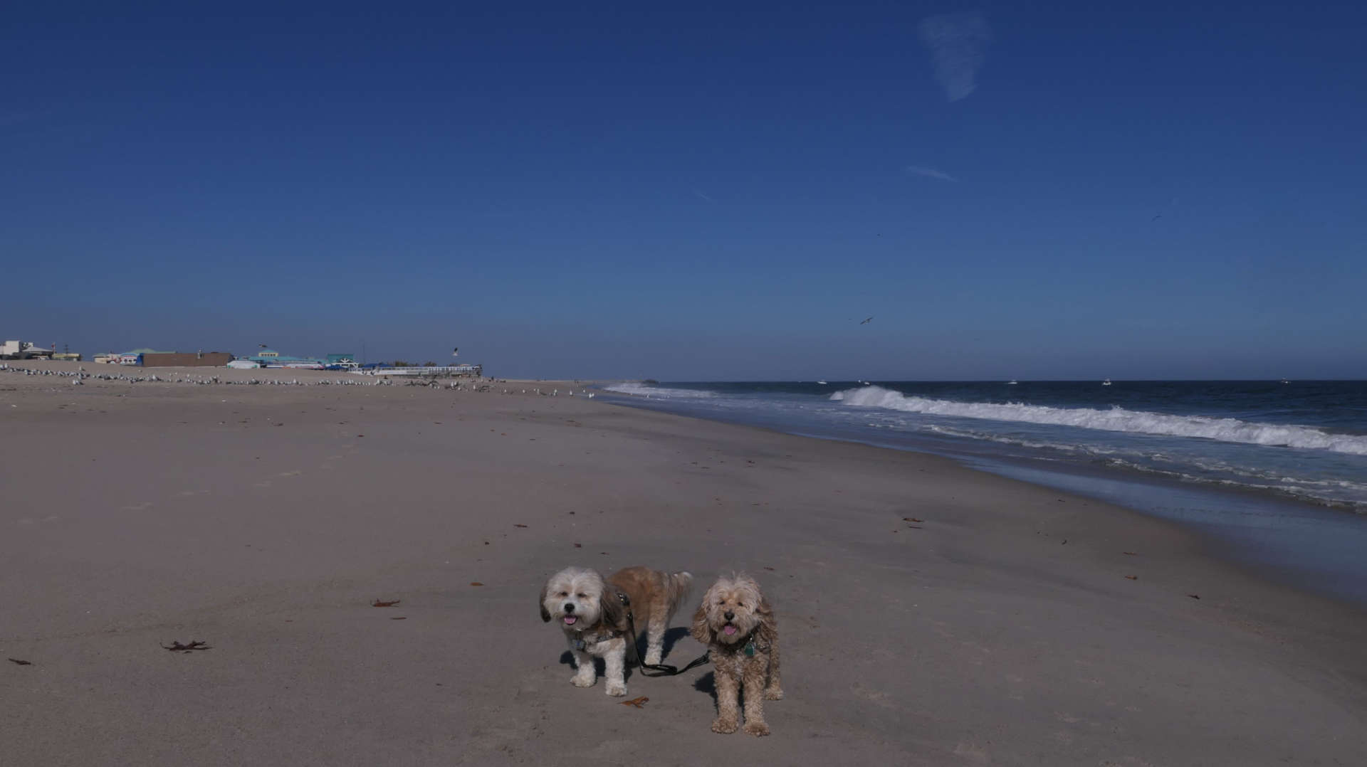 Point_Pleasant_Beach