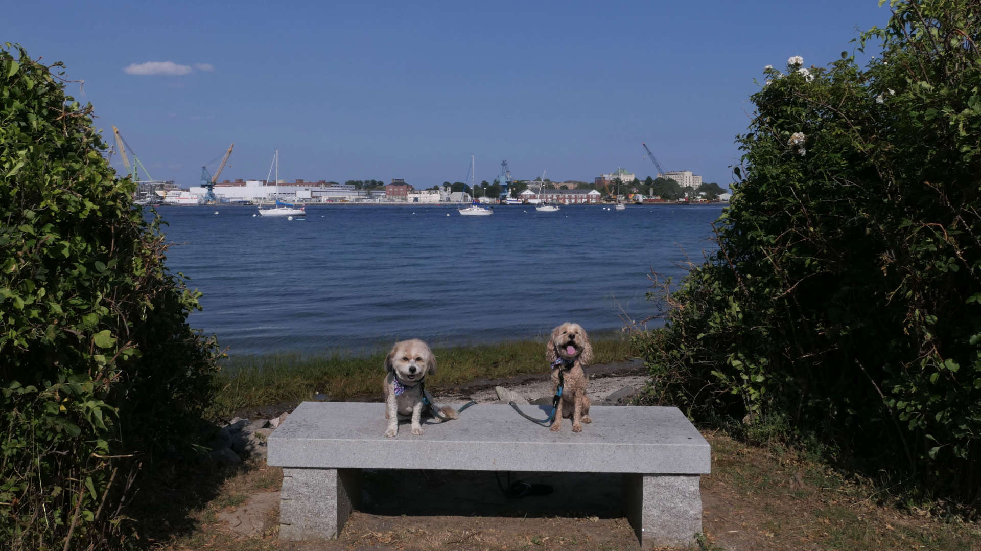 PortsmouthNH21