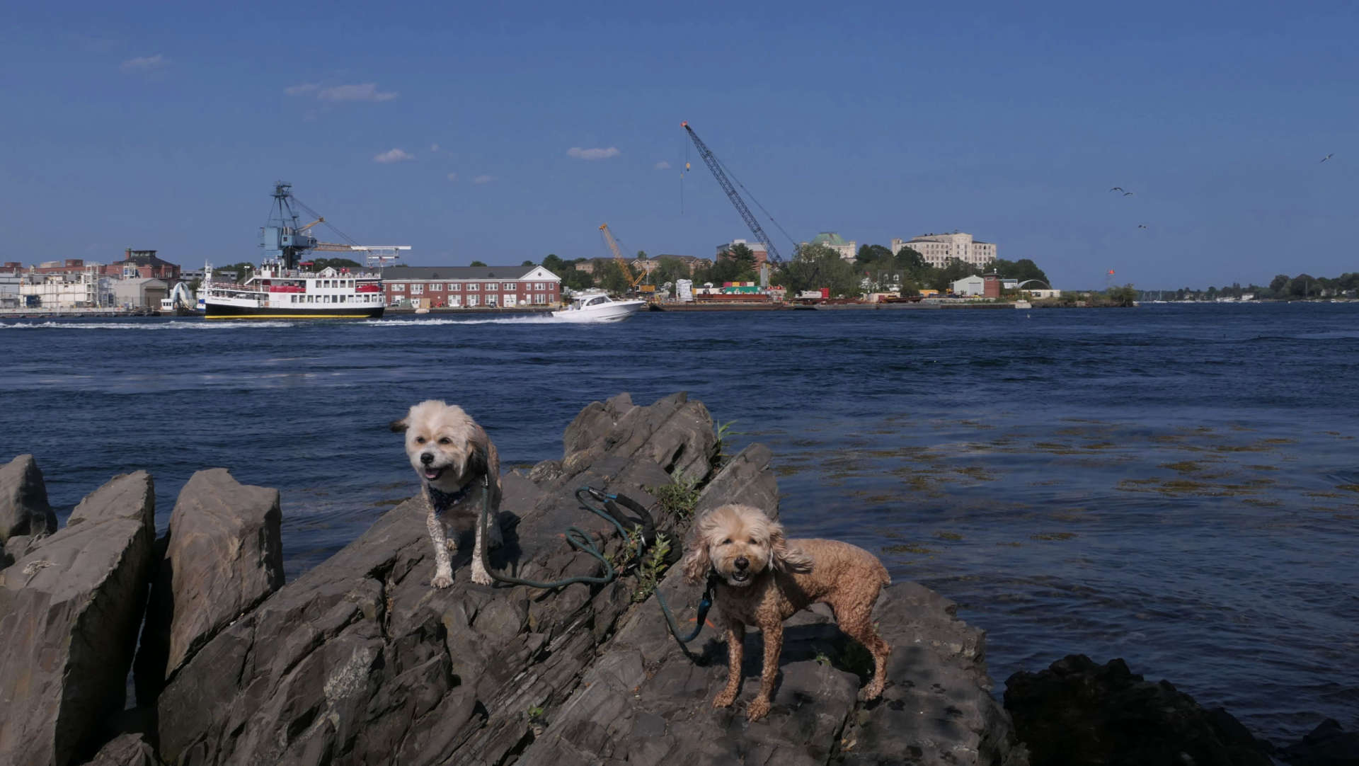PortsmouthNH29