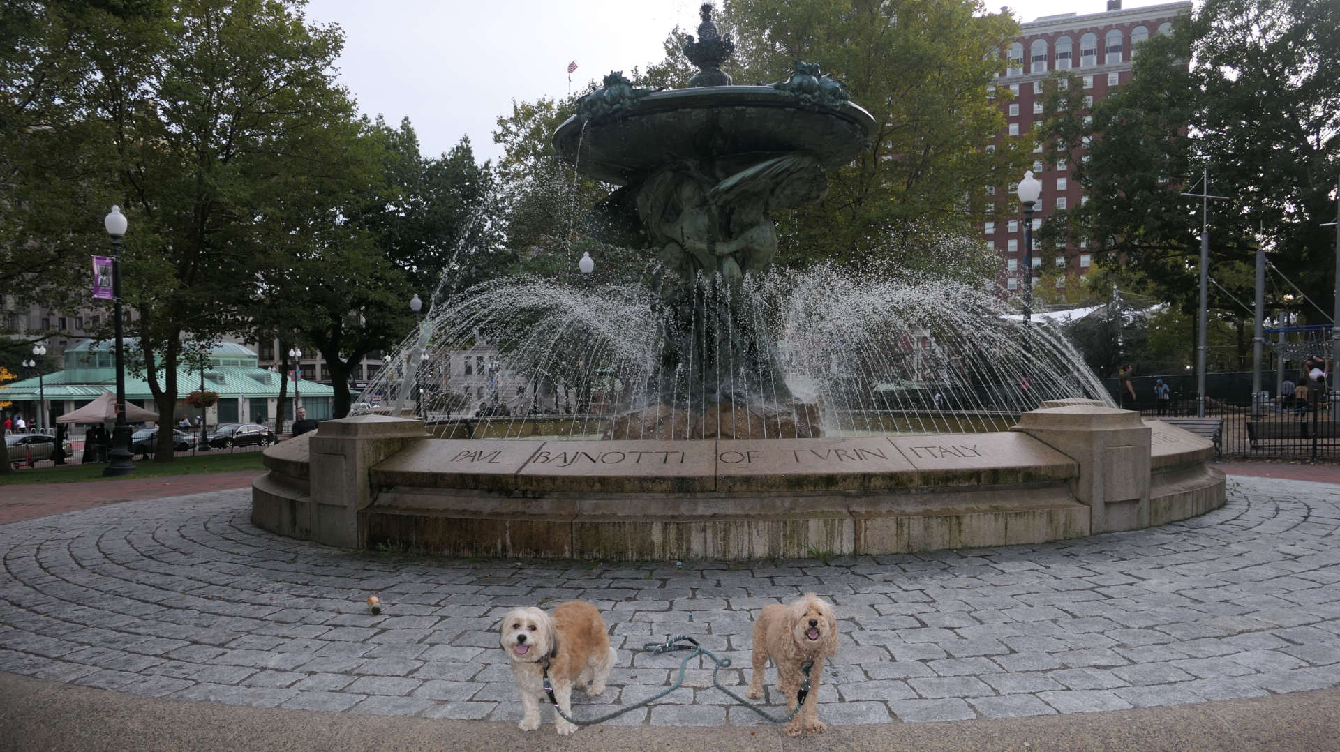 Providence319