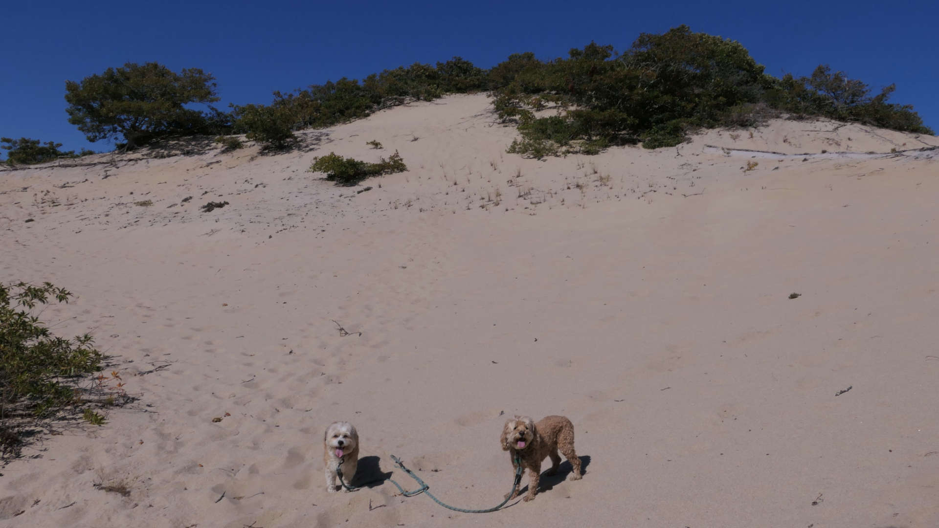 Provincetown101