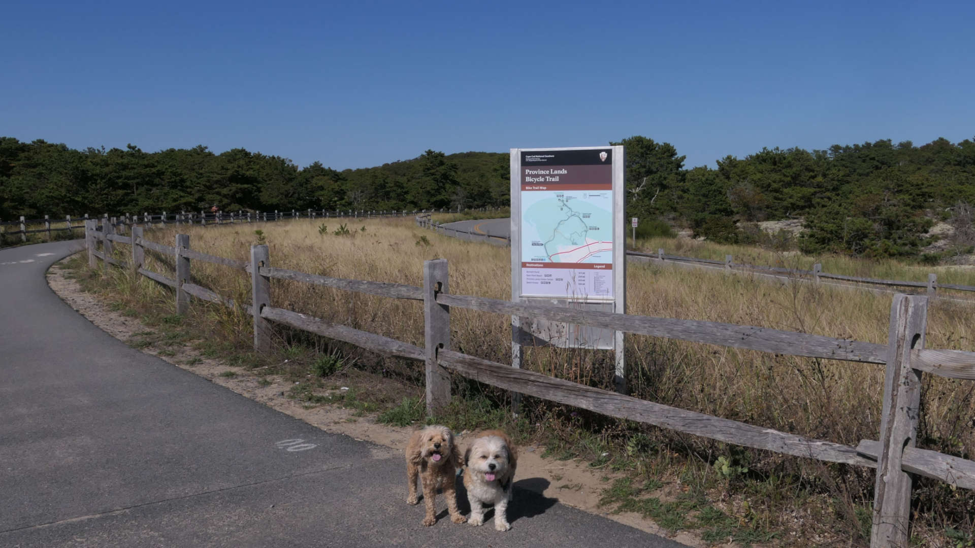 Provincetown104