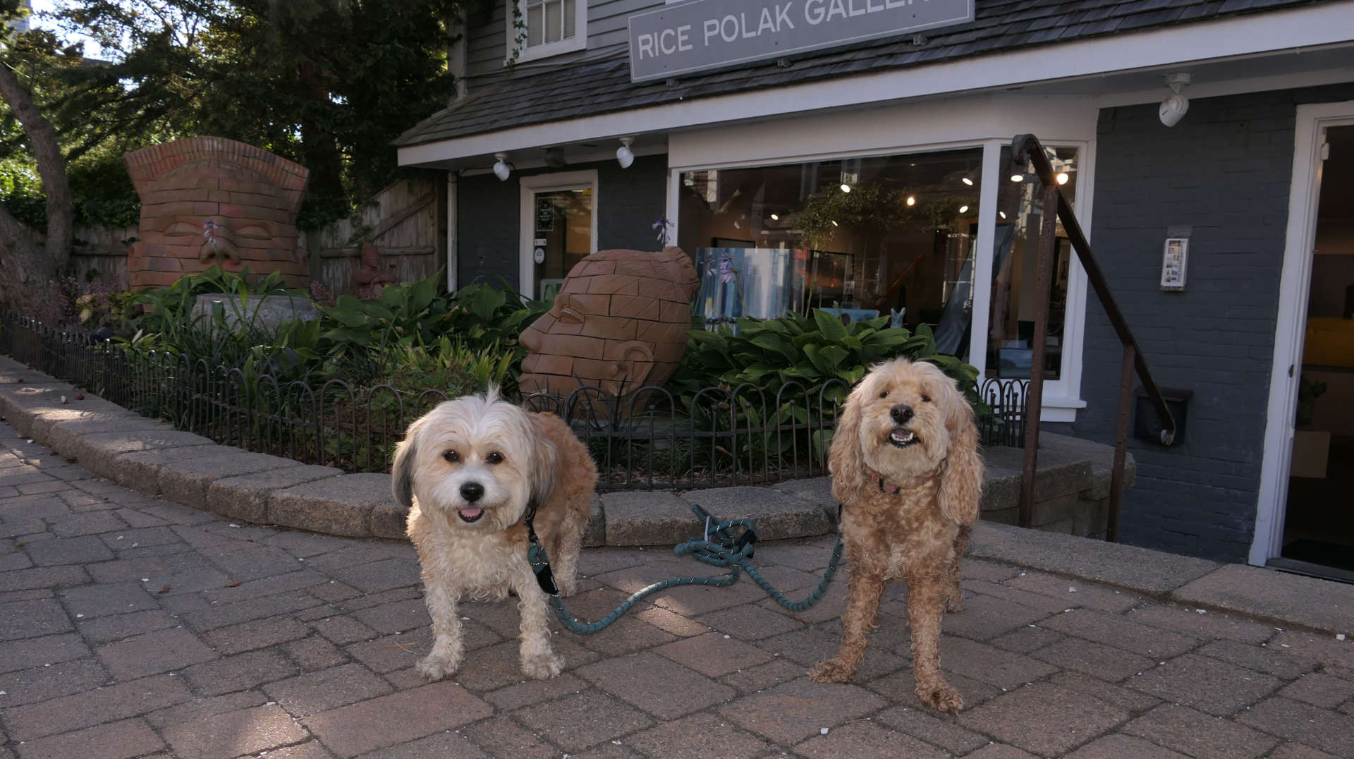 Provincetown105