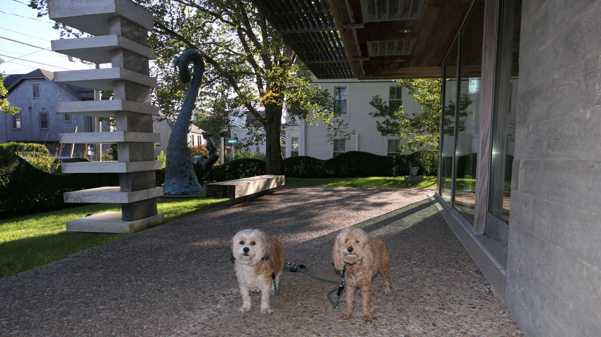 Provincetown107