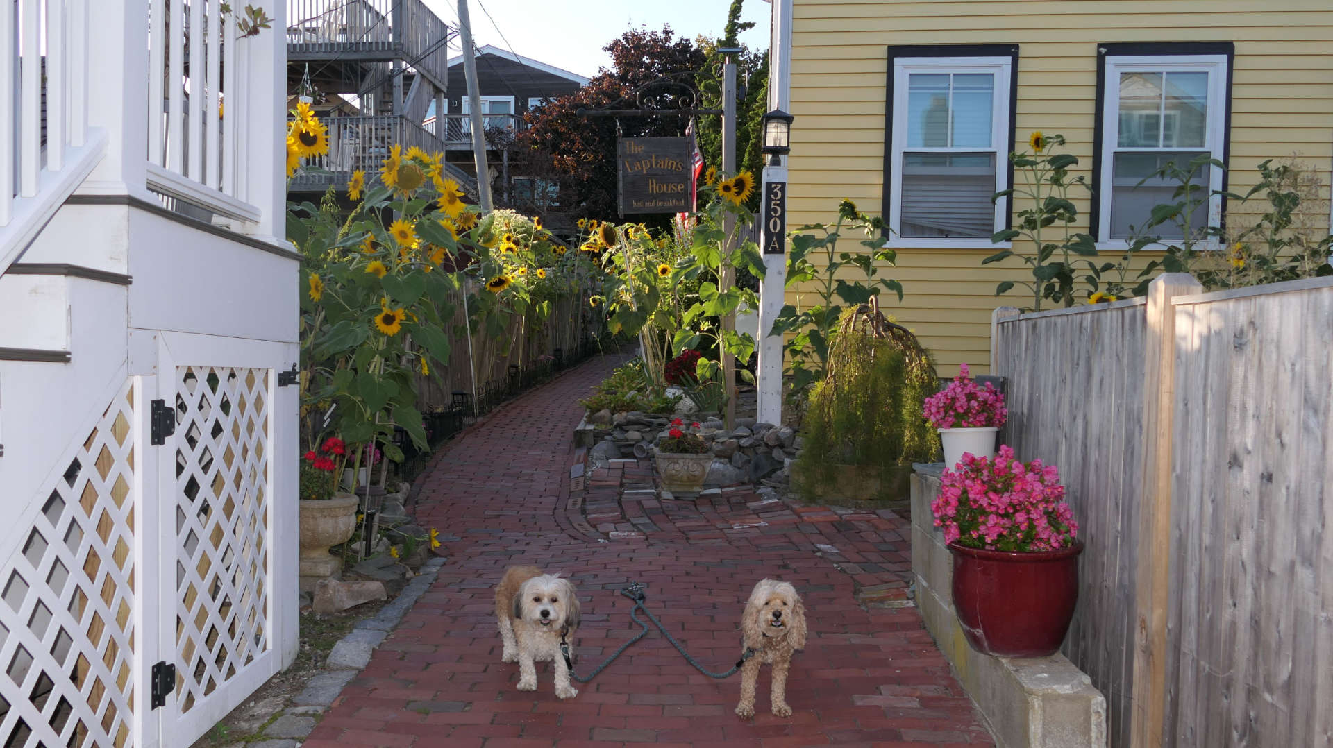 Provincetown119