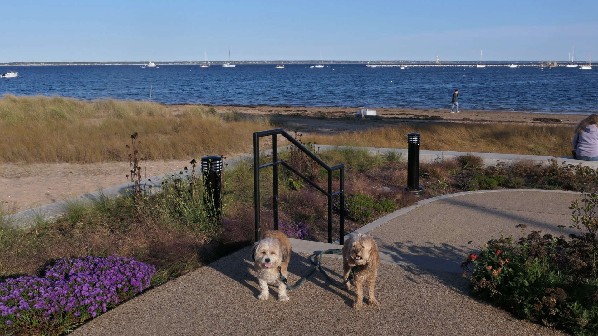 Provincetown127