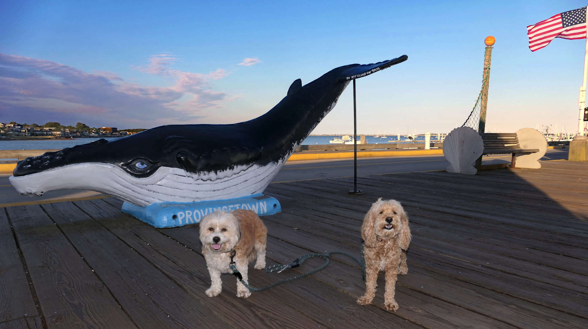 Provincetown130