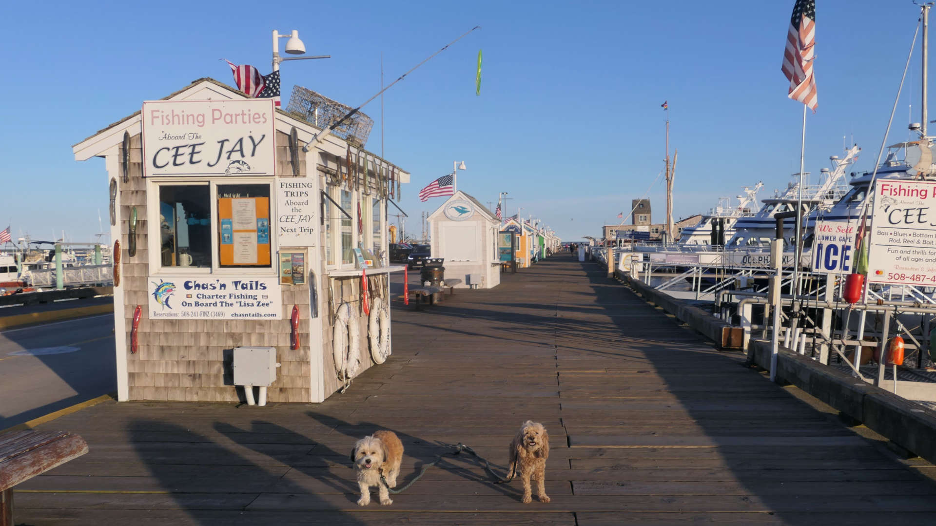 Provincetown131